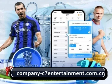 持续创新